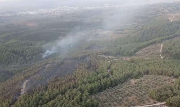 İzmir Buca'daki orman yangını kontrol altına alındı