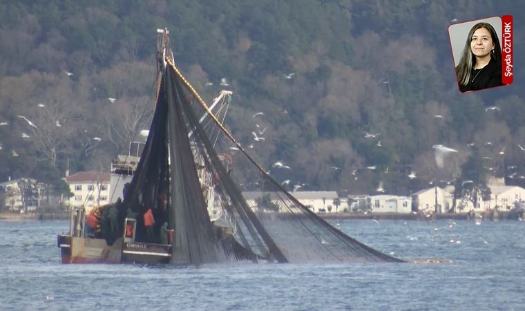 Balık avı 24 metre derinlikte yapılıyor: Neredeyse karaya çıktılar