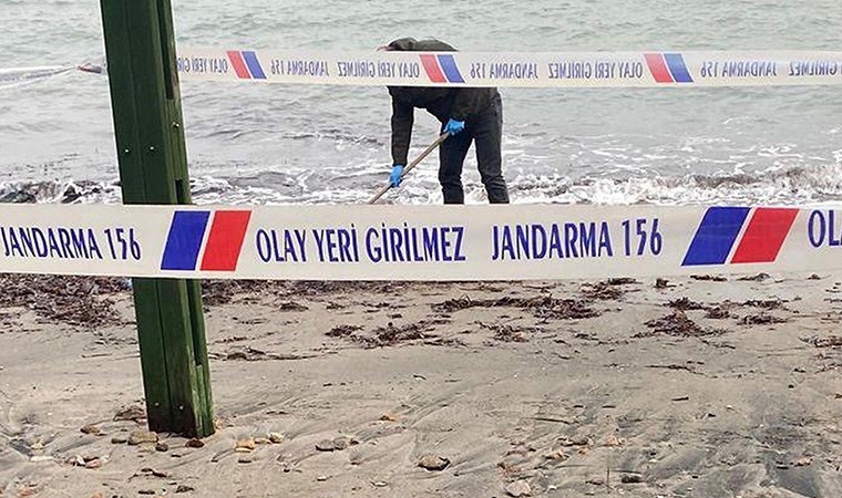 Bodrum'da sahilde korkunç görüntüler: Başı olmayan erkek cesedi bulundu