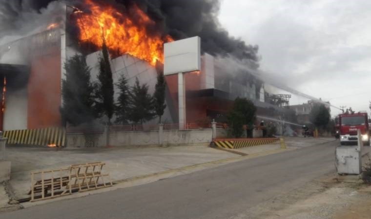 İzmir'de narenciye deposunda yangın: Dumanlar birçok yerden görüldü!