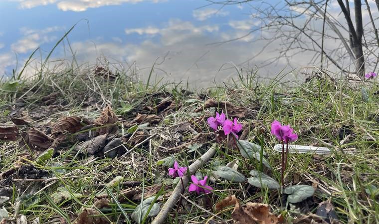 Bolu'da iki mevsim bir arada yaşanıyor