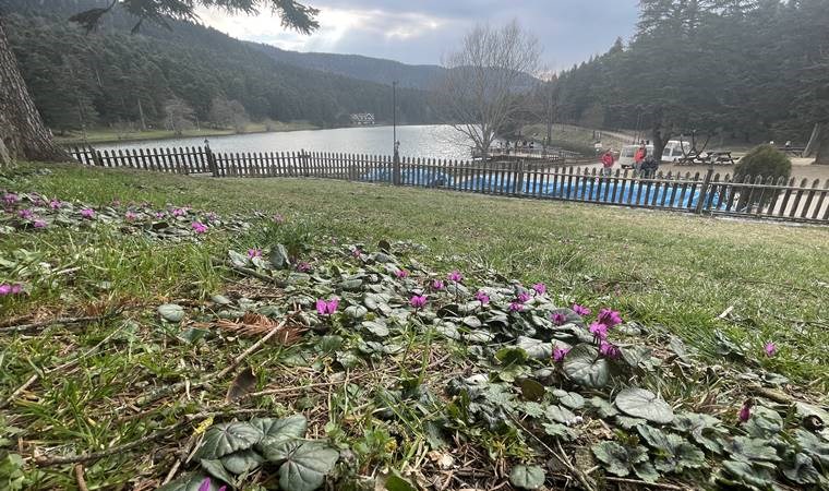 Bolu'da iki mevsim bir arada yaşanıyor