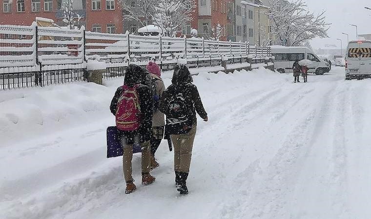 Van'ın 3 ilçesinde kar nedeniyle eğitime yarın ara verildi