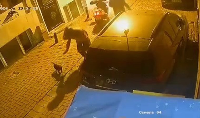 Motosiklet sürücüsü sahipli yavru köpeği sokaktan alıp kaçtı!