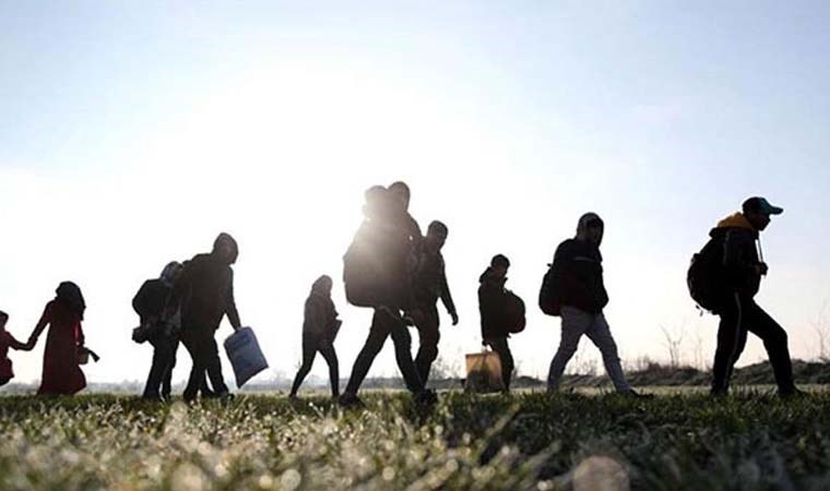 Edirne'de 21 kaçak göçmen yakalandı