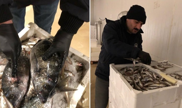 Yasa dışı ticari avcılık denetimi: 4 ton balığa el konuldu