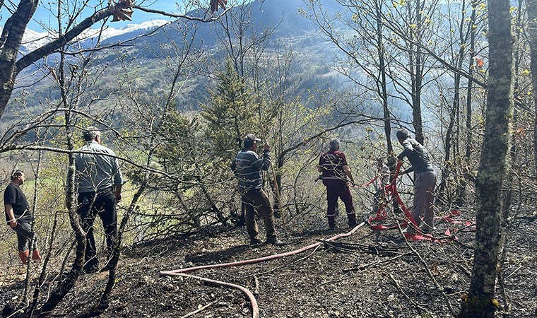 Artvin'de orman yangını 2 hektar alan zarar gördü