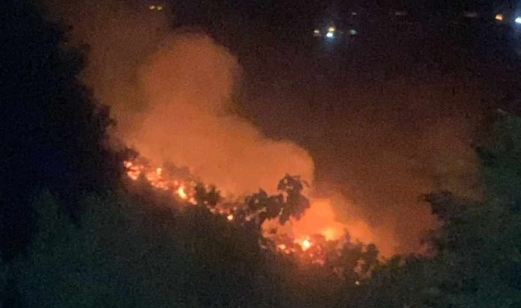 Yalova'da orman yangını 3 saatte söndürüldü 2 gözaltı
