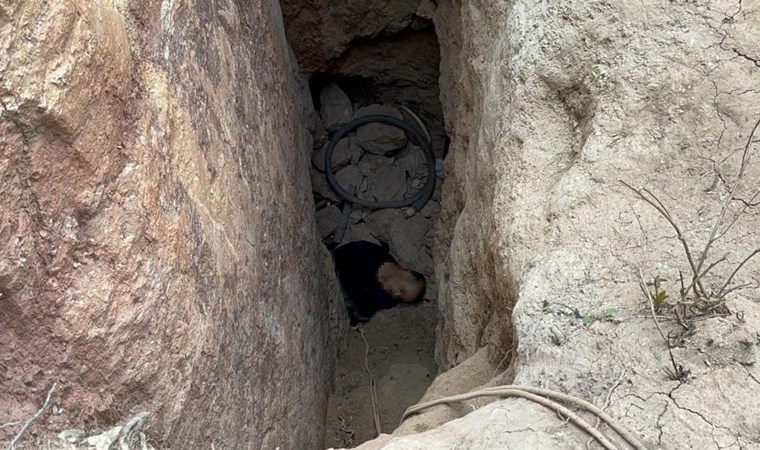 Mağarada define faciası 3 kişinin cansız bedenine ulaşıldı