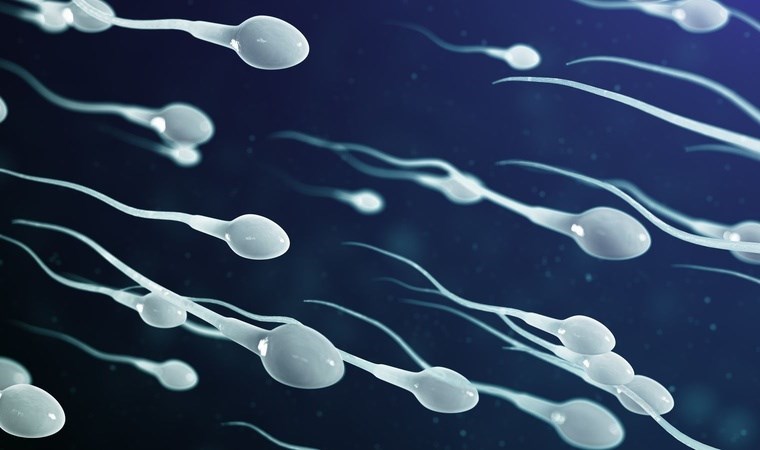 Dünyanın en büyük sperm bankası bir ülkede daha şube açtı